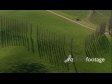 Farm Wind Break 1 - AERIAL 3491